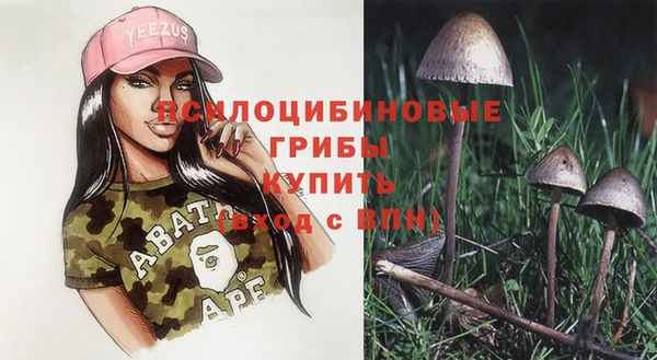 бошки Беломорск