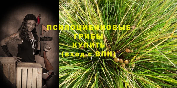 бошки Беломорск