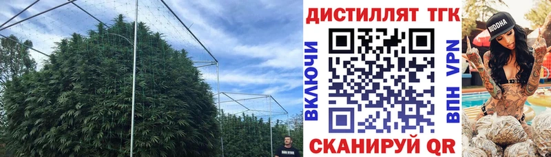 Дистиллят ТГК жижа omg рабочий сайт Гусев