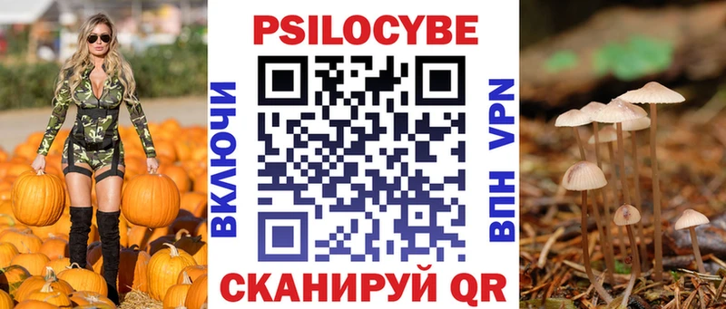 Галлюциногенные грибы Psilocybe  купить закладку  Гусев 